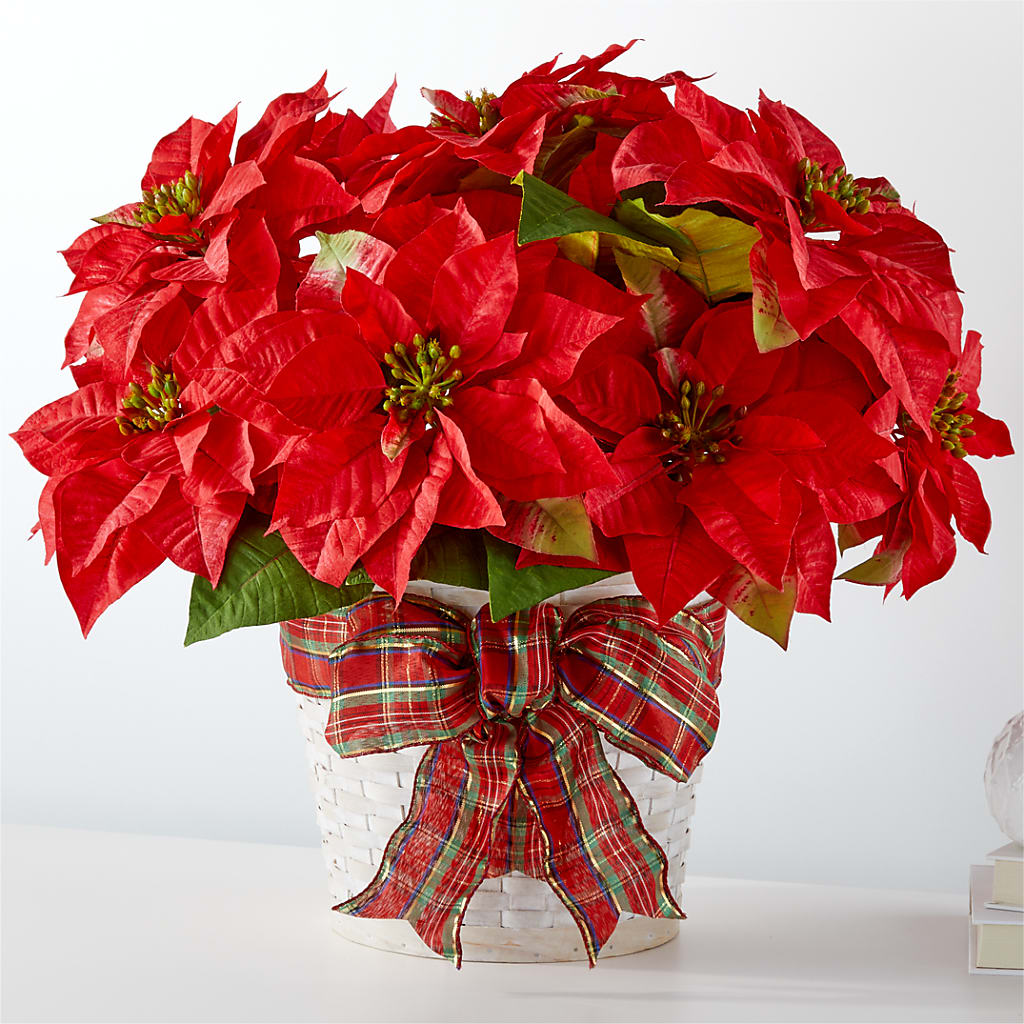 Happiest Holidays Poinsettia – The Flower Nook Inc, Orlando FL