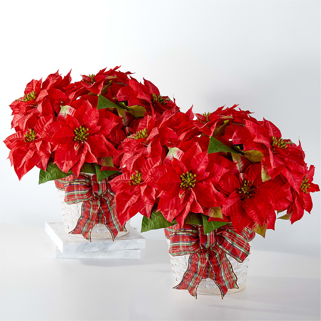 Happiest Holidays Poinsettia Bundle – The Flower Nook Inc, Orlando FL