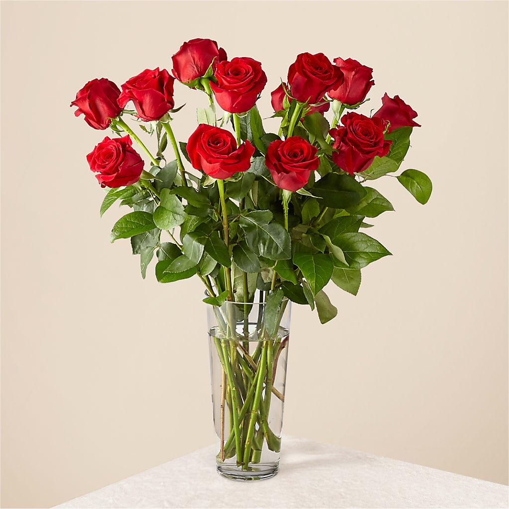 Long Stem Red Rose Bouquet – The Flower Nook Inc, Orlando FL