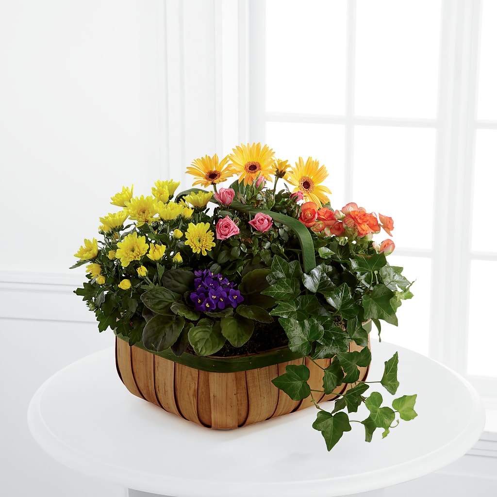 Gentle Blossoms Basket – The Flower Nook Inc, Orlando FL