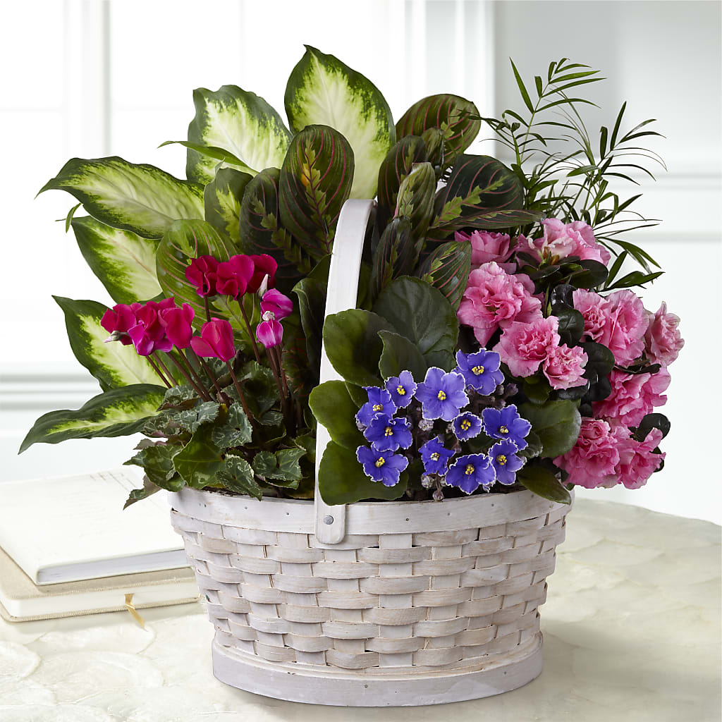 Peaceful Garden Planter – The Flower Nook Inc, Orlando FL