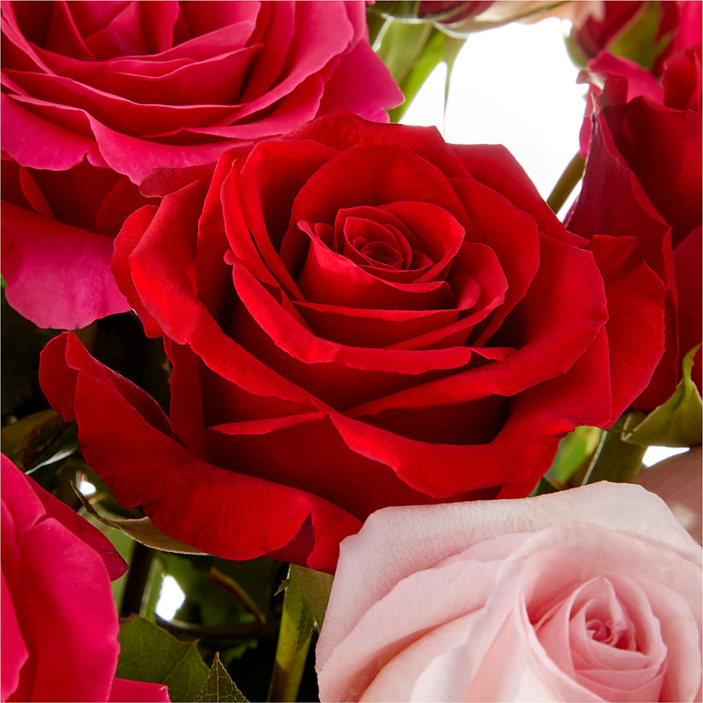 Love Notes Rose Bouquet – The Flower Nook Inc, Orlando FL