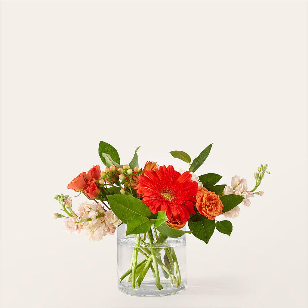 Paloma Please Bouquet – The Flower Nook Inc, Orlando FL