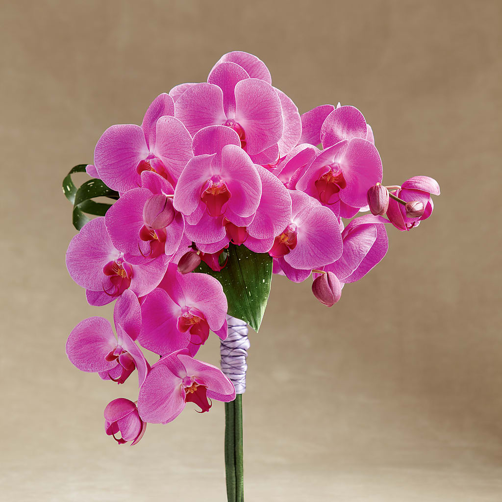 Glorious Bouquet – The Flower Nook Inc, Orlando FL