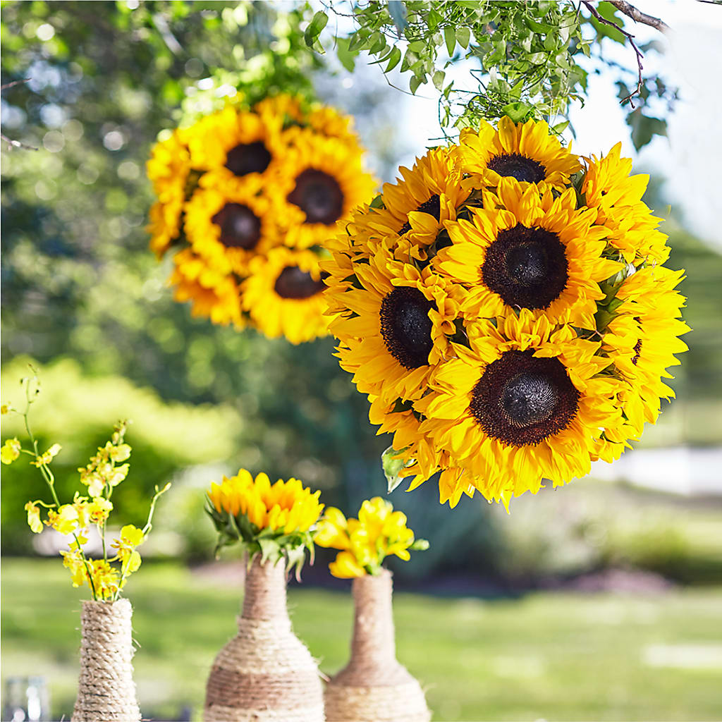 Sublime Garden Hanging Arrangement – The Flower Nook Inc, Orlando FL