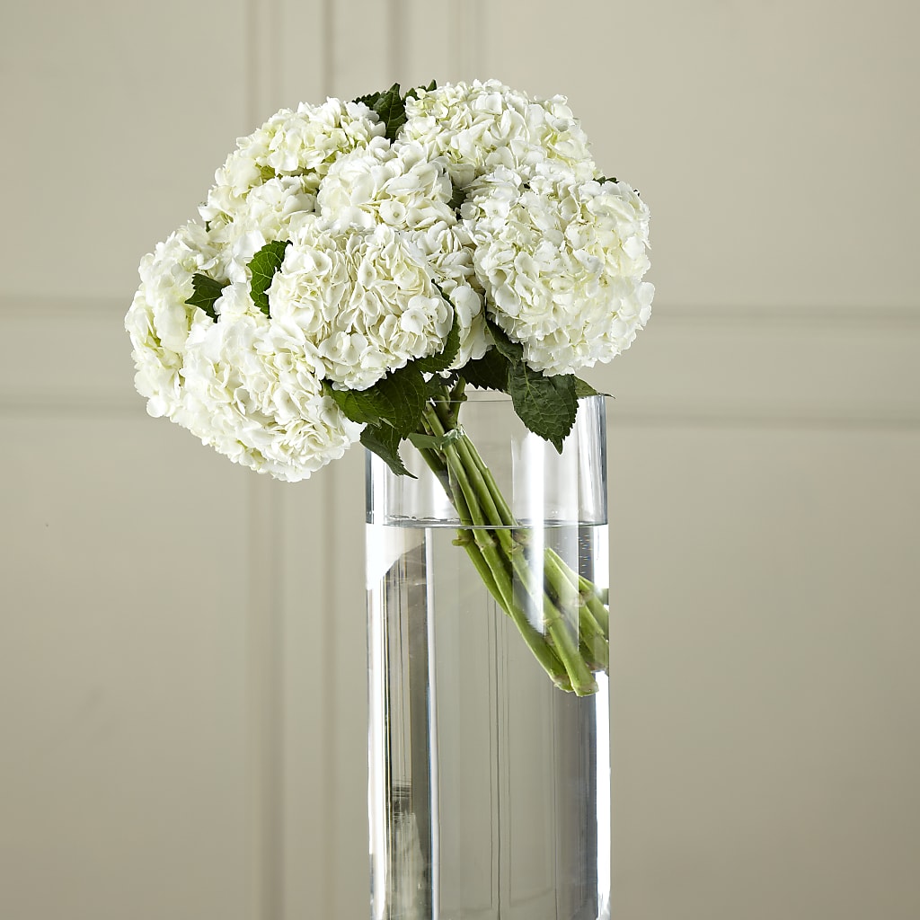 White Hydrangea Hand-Tied Bouquet – The Flower Nook Inc, Orlando FL