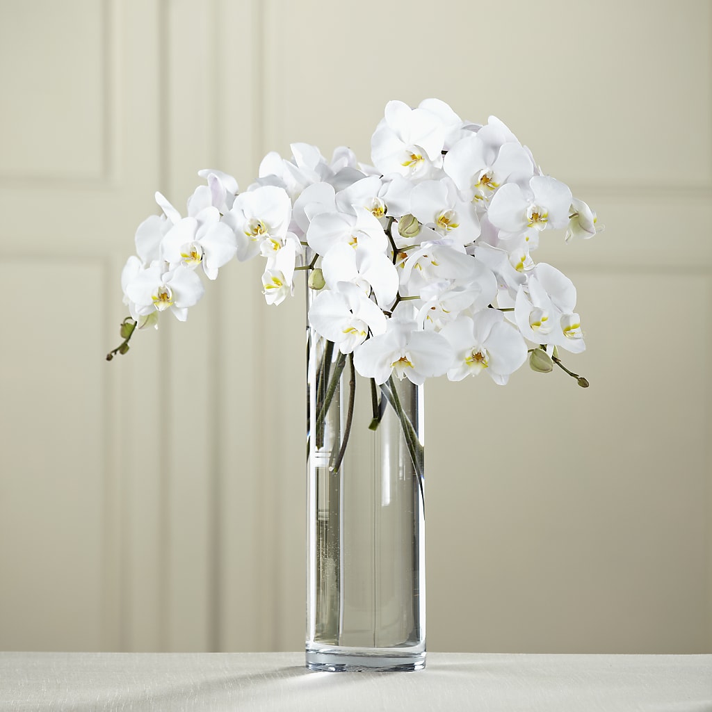 White Phalaenopsis Bouquet – The Flower Nook Inc, Orlando FL