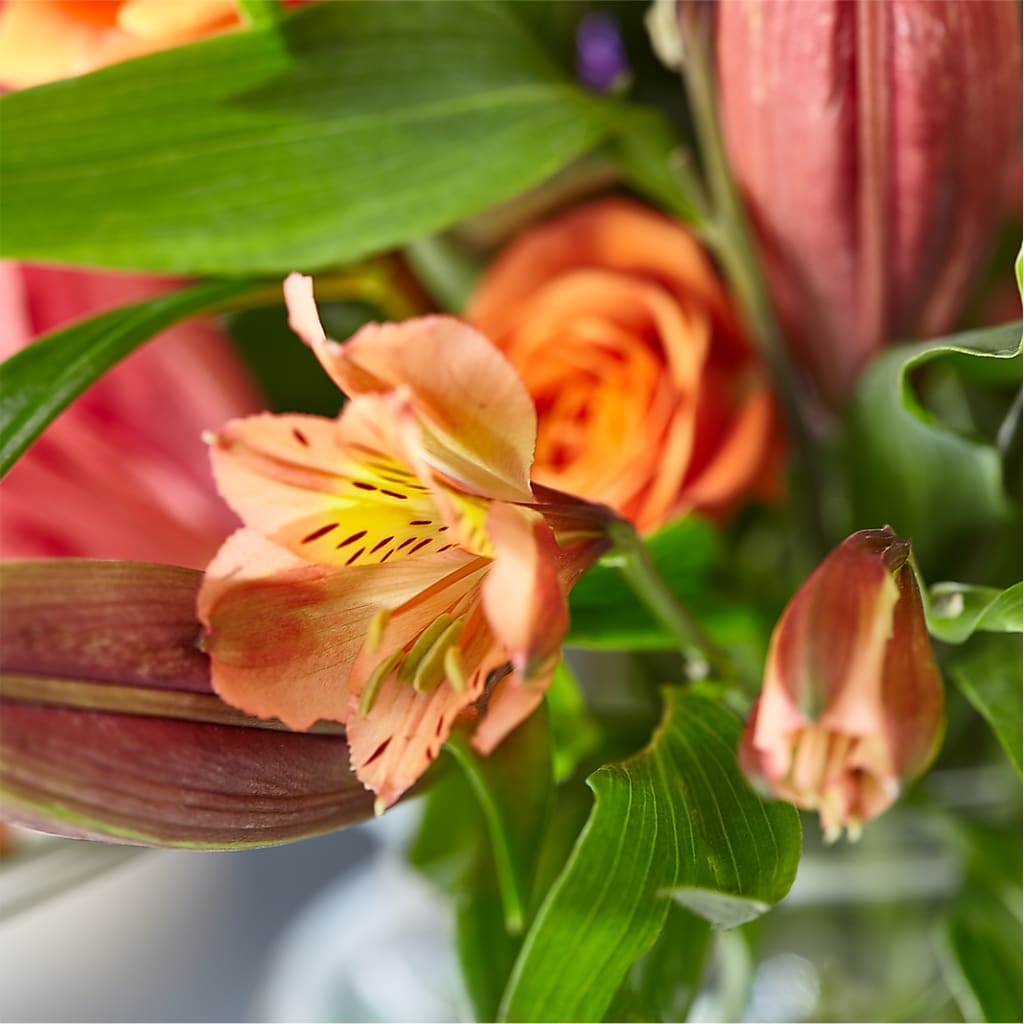 Bold & Bright – A Florist Original –  The Flower Nook Inc, Orlando FL