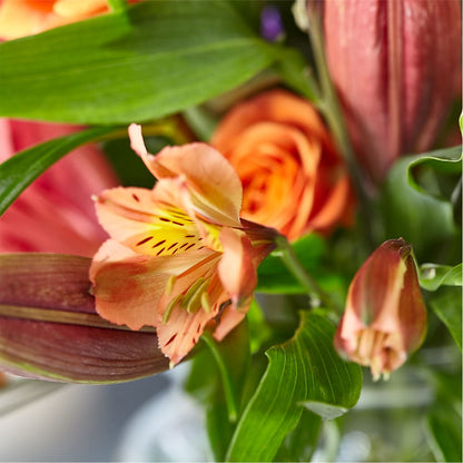 Bold & Bright – A Florist Original –  The Flower Nook Inc, Orlando FL