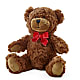 Adorable Plush Bear –  The Flower Nook Inc, Orlando FL