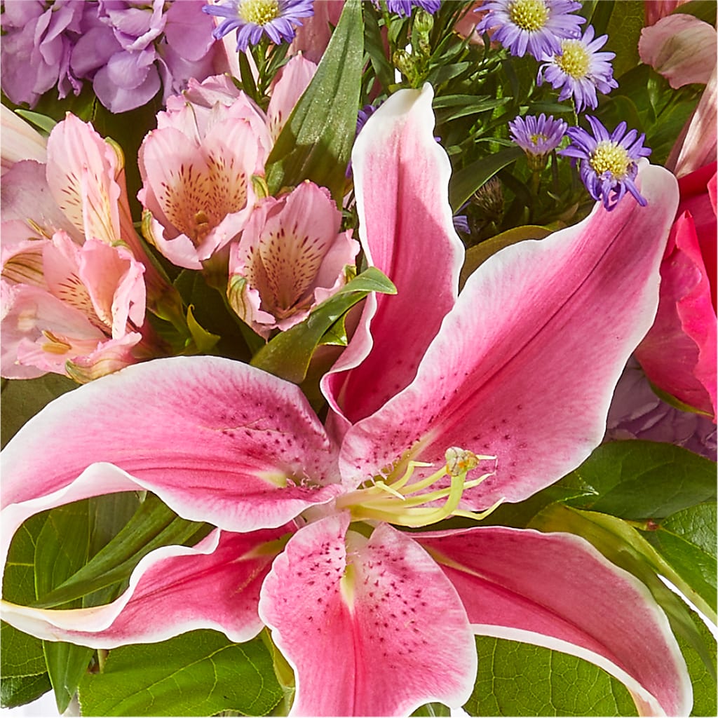 Written in the Stars Bouquet –  The Flower Nook Inc, Orlando FL