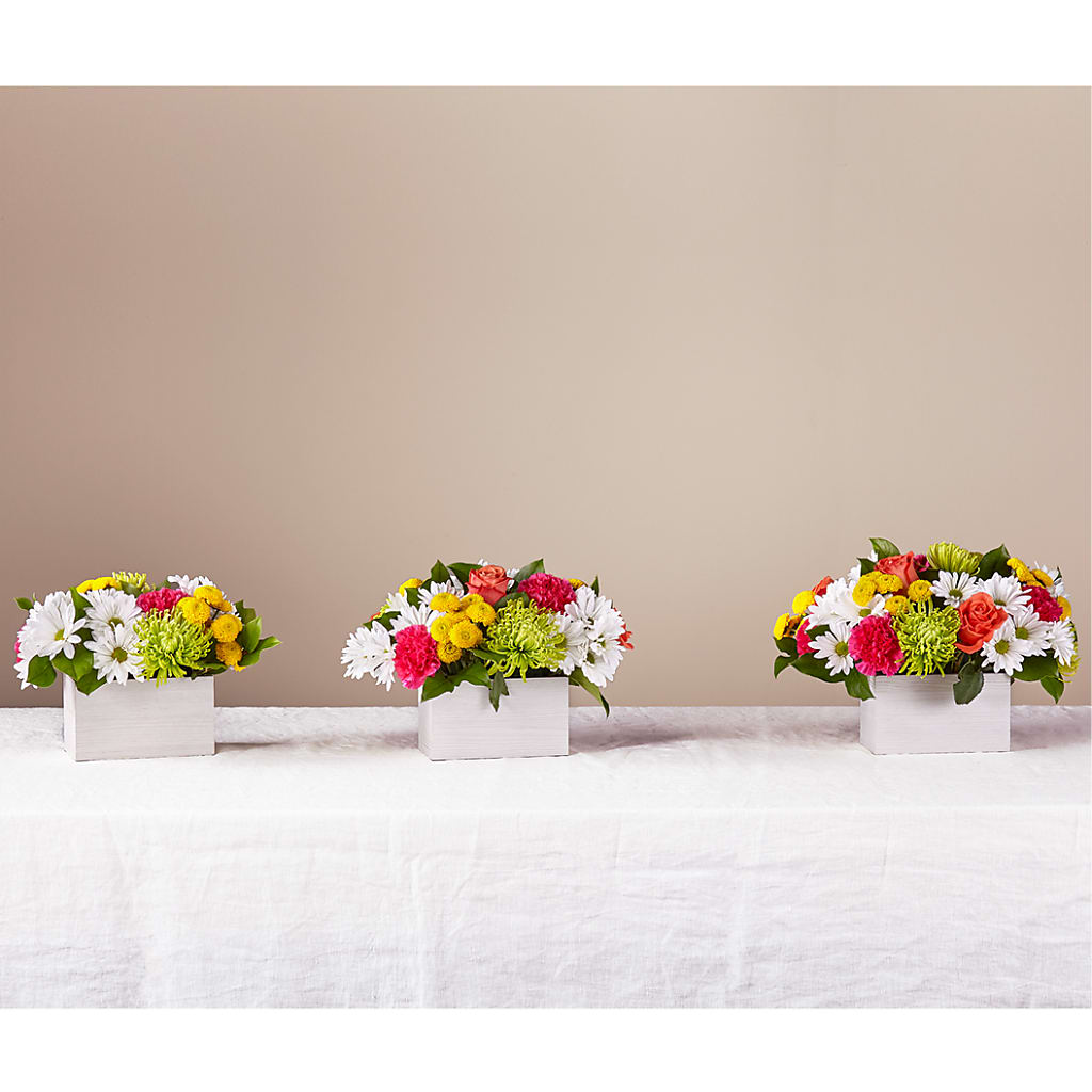 Sorbet Bouquet –  The Flower Nook Inc, Orlando FL