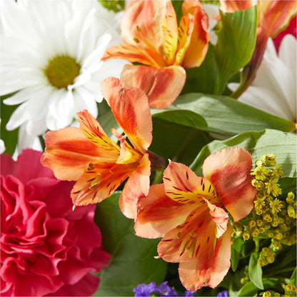 Oopsie Daisy Box Bouquet –  The Flower Nook Inc, Orlando FL