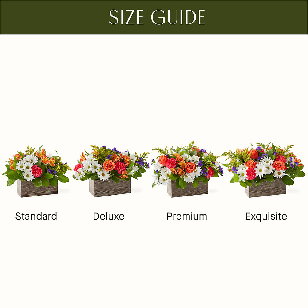 Oopsie Daisy Box Bouquet –  The Flower Nook Inc, Orlando FL