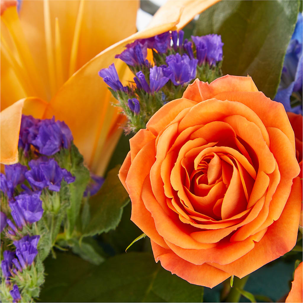 Radiant Citrus Box Bouquet –  The Flower Nook Inc, Orlando FL