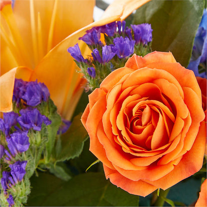 Radiant Citrus Box Bouquet –  The Flower Nook Inc, Orlando FL