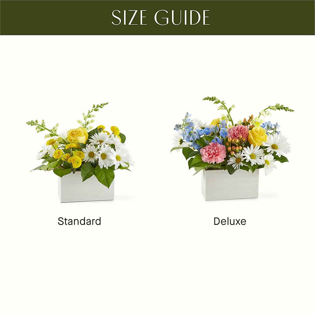 Sun Salutation Box Bouquet –  The Flower Nook Inc, Orlando FL