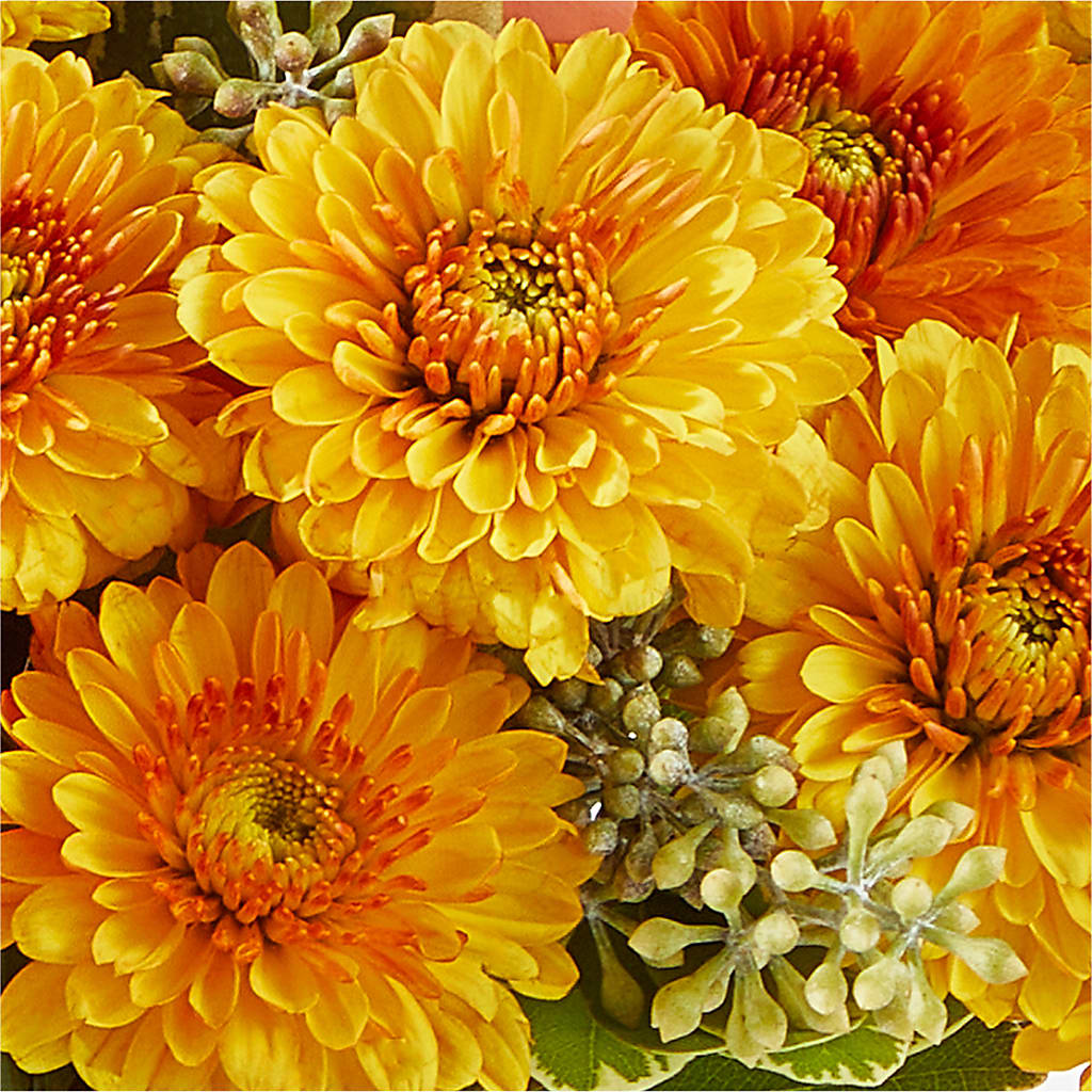 Peachy Pumpkin –  The Flower Nook Inc, Orlando FL