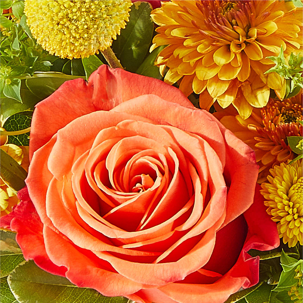 Gourdgeous Pumpkin –  The Flower Nook Inc, Orlando FL