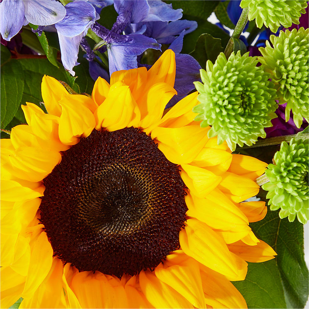 Catching Rays Bouquet –  The Flower Nook Inc, Orlando FL