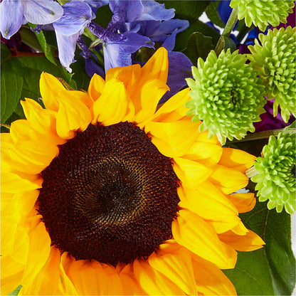Catching Rays Bouquet –  The Flower Nook Inc, Orlando FL