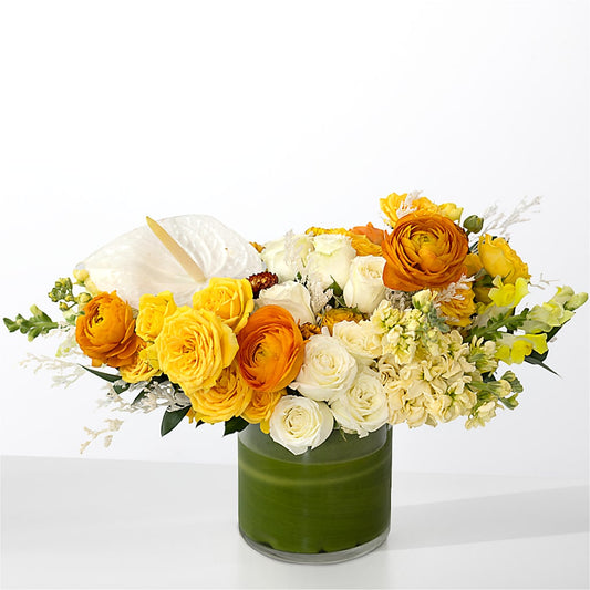 The Optimist –  The Flower Nook Inc, Orlando FL