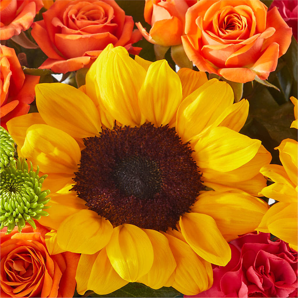 Sun-drenched Blooms Box Bouquet –  The Flower Nook Inc, Orlando FL