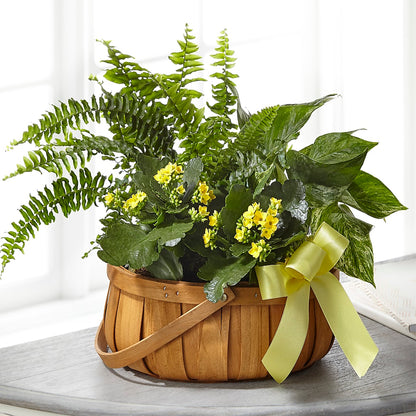 Always Dear Dishgarden –  The Flower Nook Inc, Orlando FL