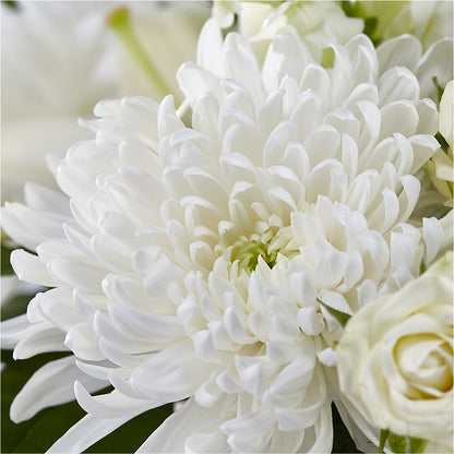 Classic Ivory – A Florist Original –  The Flower Nook Inc, Orlando FL