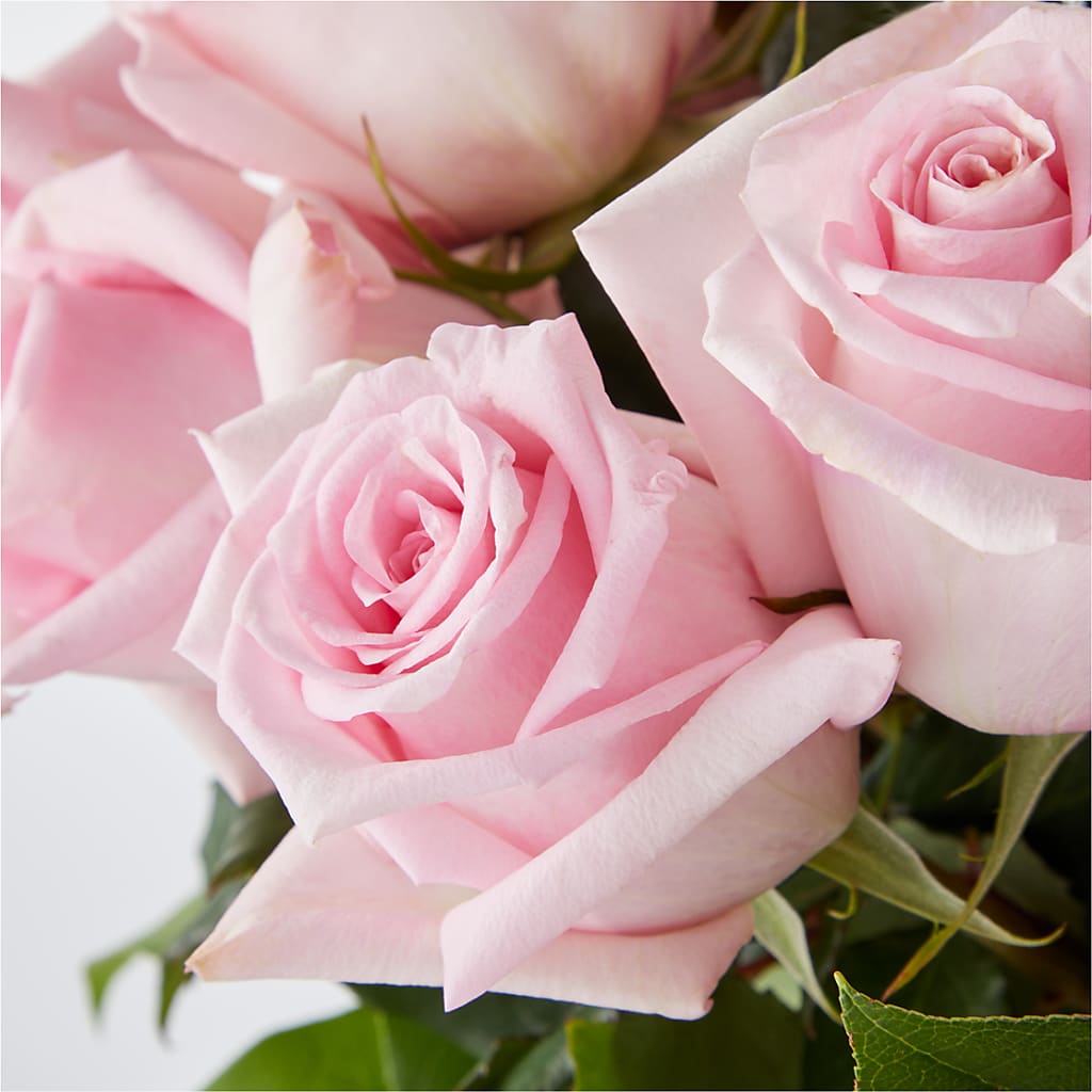 Picture Perfect Pink Rose Bouquet –  The Flower Nook Inc, Orlando FL