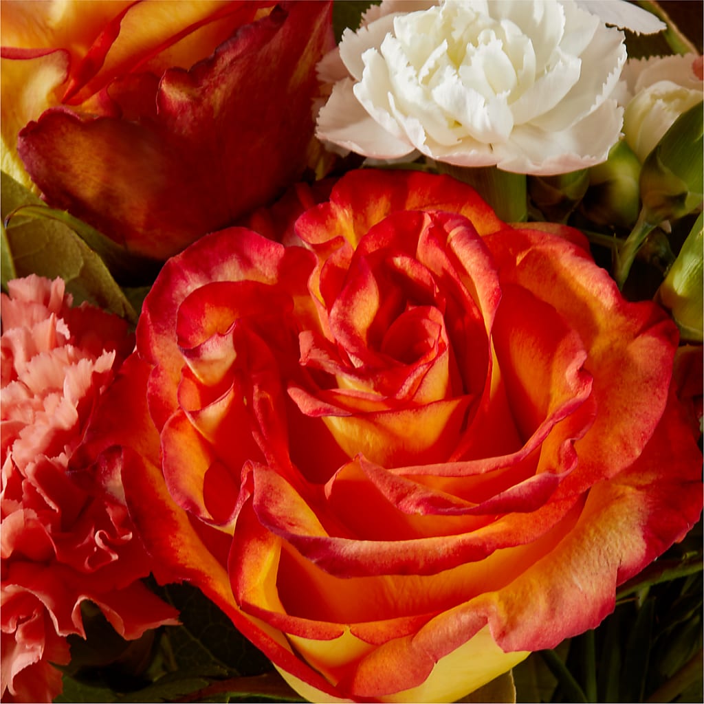 Apricot Glow Bouquet –  The Flower Nook Inc, Orlando FL