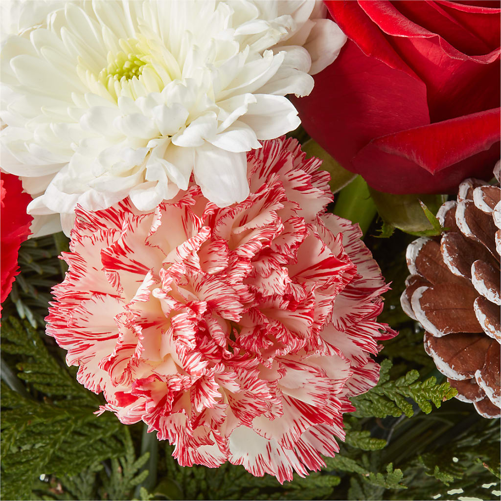 Candy Cane Lane Bouquet –  The Flower Nook Inc, Orlando FL
