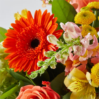 Autumn Sunshine Bouquet –  The Flower Nook Inc, Orlando FL