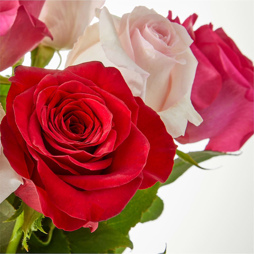 Charming Rose Bouquet –  The Flower Nook Inc, Orlando FL