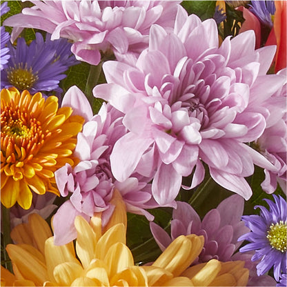 Countryside Bouquet –  The Flower Nook Inc, Orlando FL