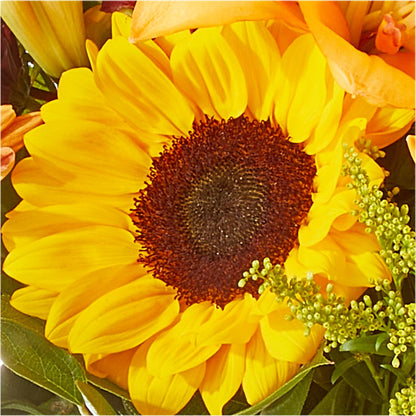 Seasons Change Bouquet –  The Flower Nook Inc, Orlando FL