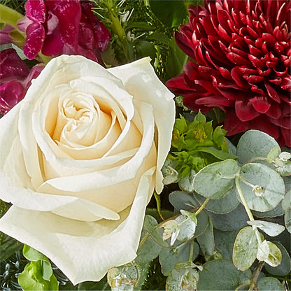Cranberry Fizz Bouquet –  The Flower Nook Inc, Orlando FL