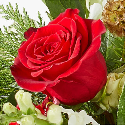 Deck the Halls Bouquet –  The Flower Nook Inc, Orlando FL