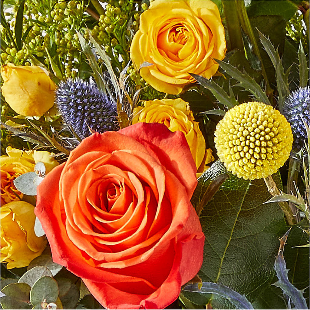 Disco Bouquet –  The Flower Nook Inc, Orlando FL