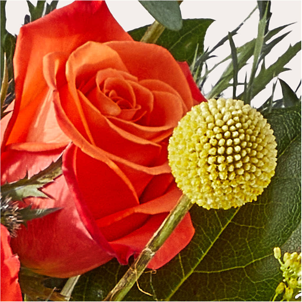 Disco Bouquet –  The Flower Nook Inc, Orlando FL