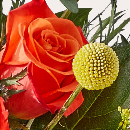 Disco Bouquet –  The Flower Nook Inc, Orlando FL