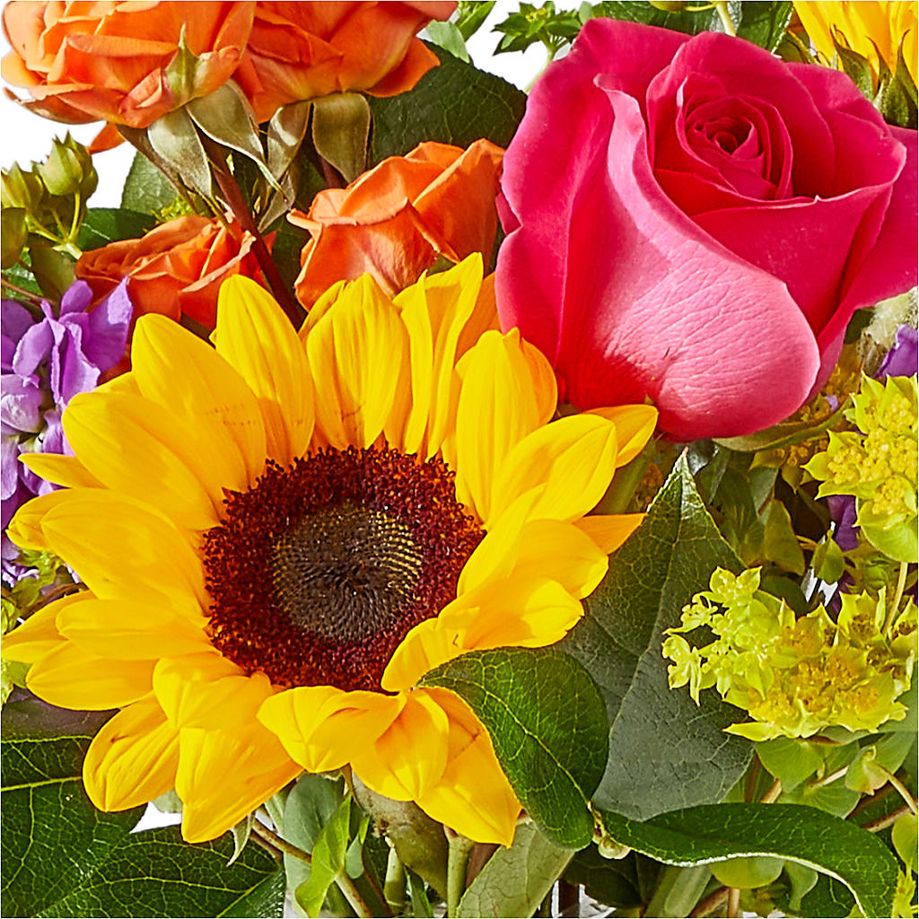 Vibrant Greetings Bouquet –  The Flower Nook Inc, Orlando FL