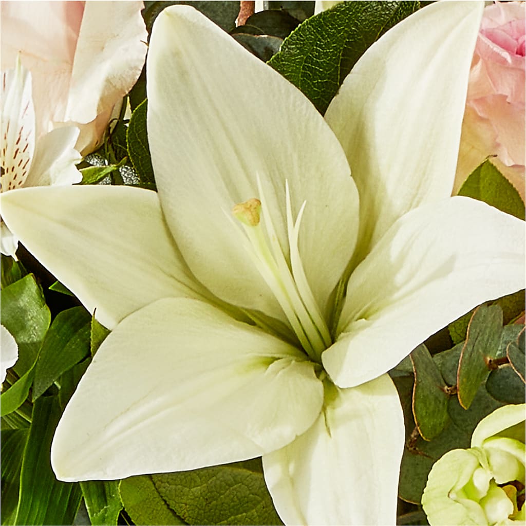 Ballet Slippers Bouquet –  The Flower Nook Inc, Orlando FL