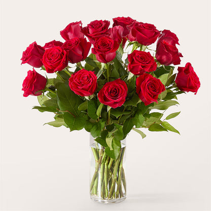 The One Red Rose Bouquet –  The Flower Nook Inc, Orlando FL
