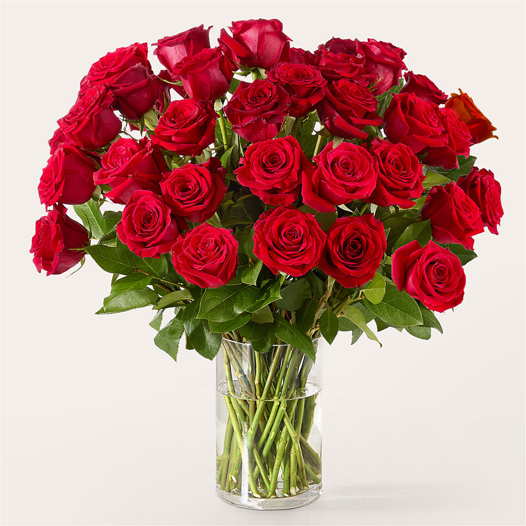 The One Red Rose Bouquet –  The Flower Nook Inc, Orlando FL