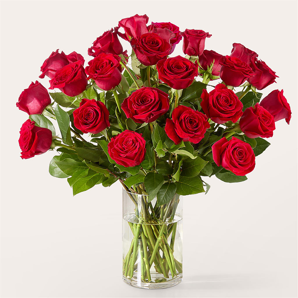 The One Red Rose Bouquet –  The Flower Nook Inc, Orlando FL