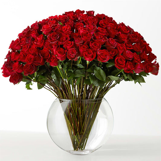 The Idealist –  The Flower Nook Inc, Orlando FL