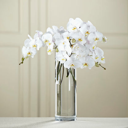 White Phalaenopsis Bouquet –  The Flower Nook Inc, Orlando FL